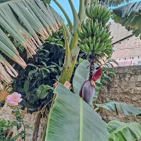 La Casa Di Sciu Sciu