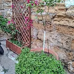 La Casa Di Sciu Sciu Palermo